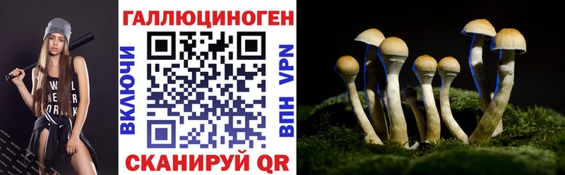 Галлюциногенные грибы Cubensis  Динская 